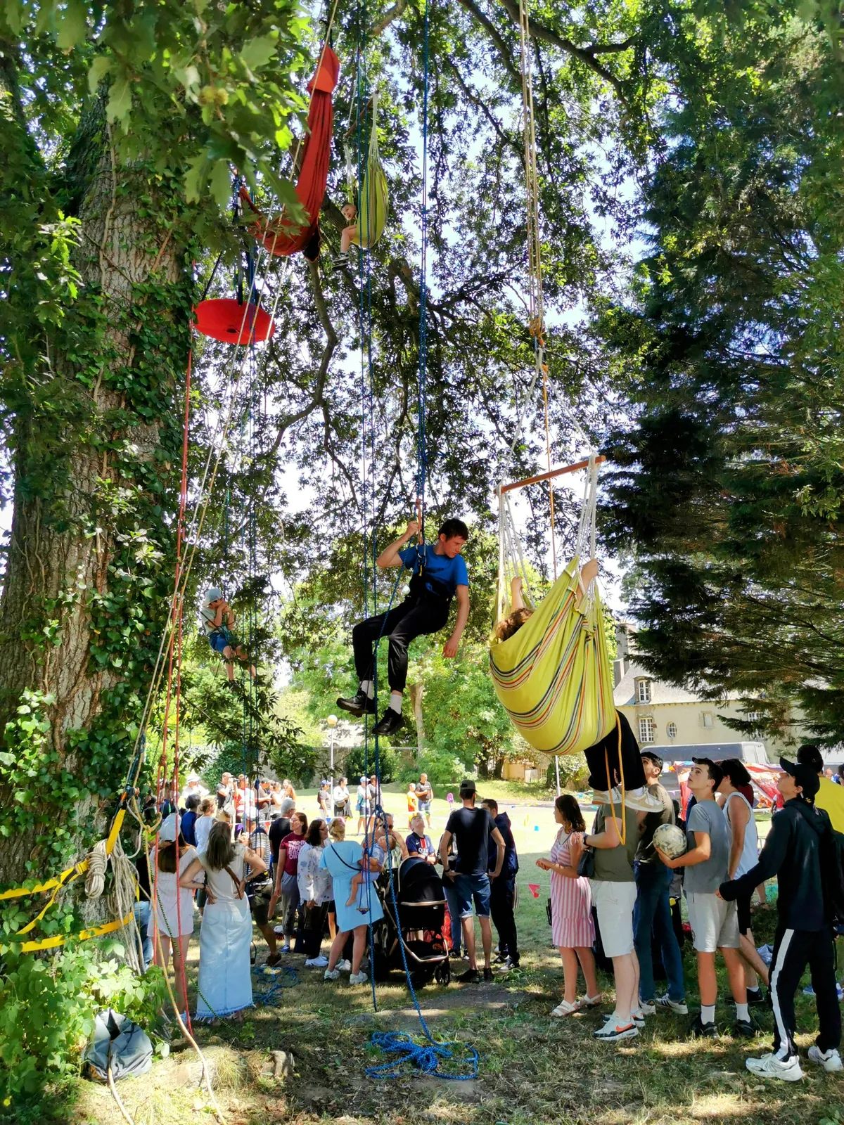 Grimpe d'arbre collectivités entreprises Bretagne - Photo 3