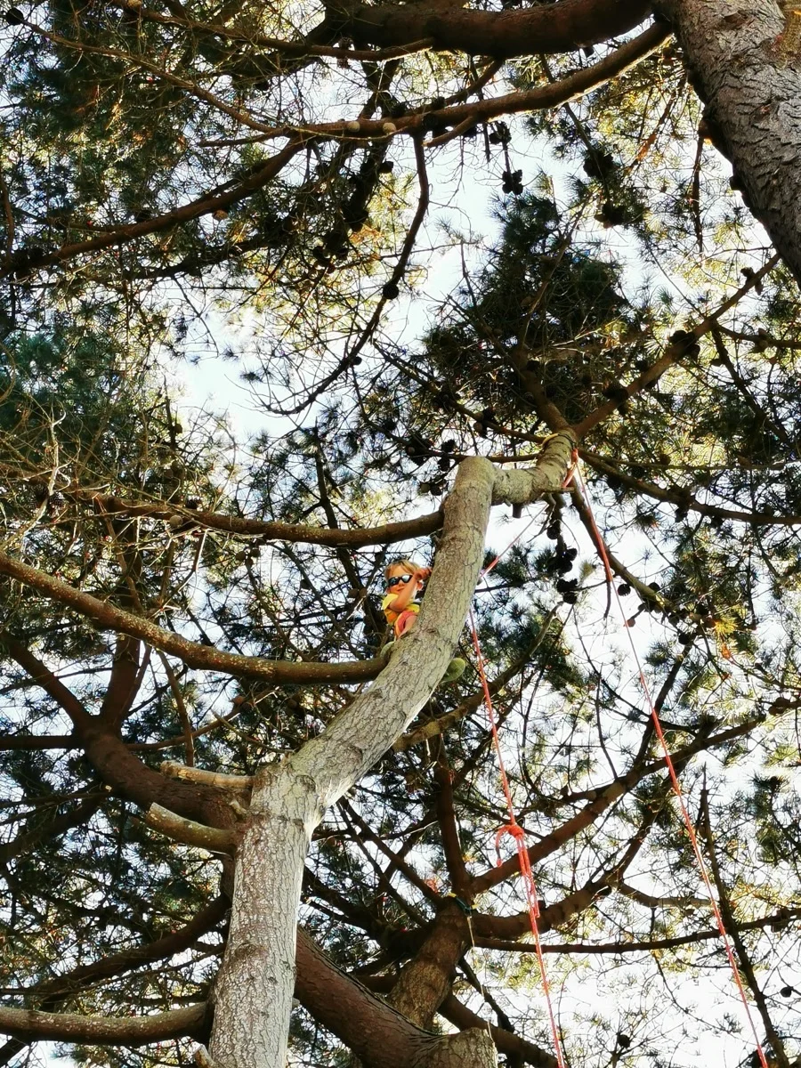 Atelier Moulinette grimpe d'arbre - technique d'assurage en binôme pour grimper en sécurité