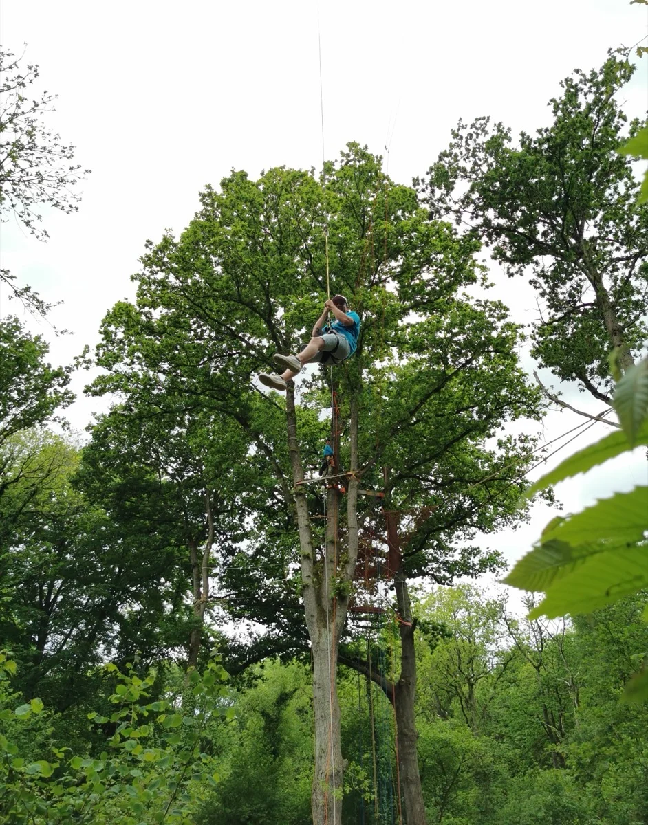 Tyrolienne grimpe d'arbre - descente rapide glissée entre les arbres