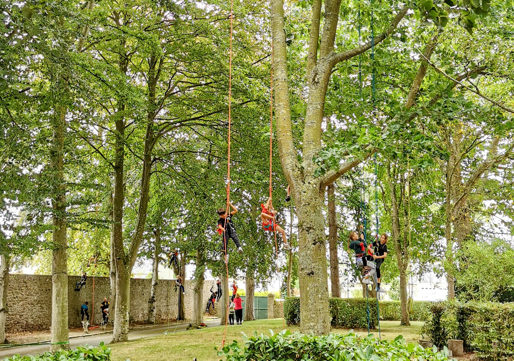 Activité pédagogique EPS grimpe arbre - Côte d'Émeraude, Bretagne, Côtes-d'Armor