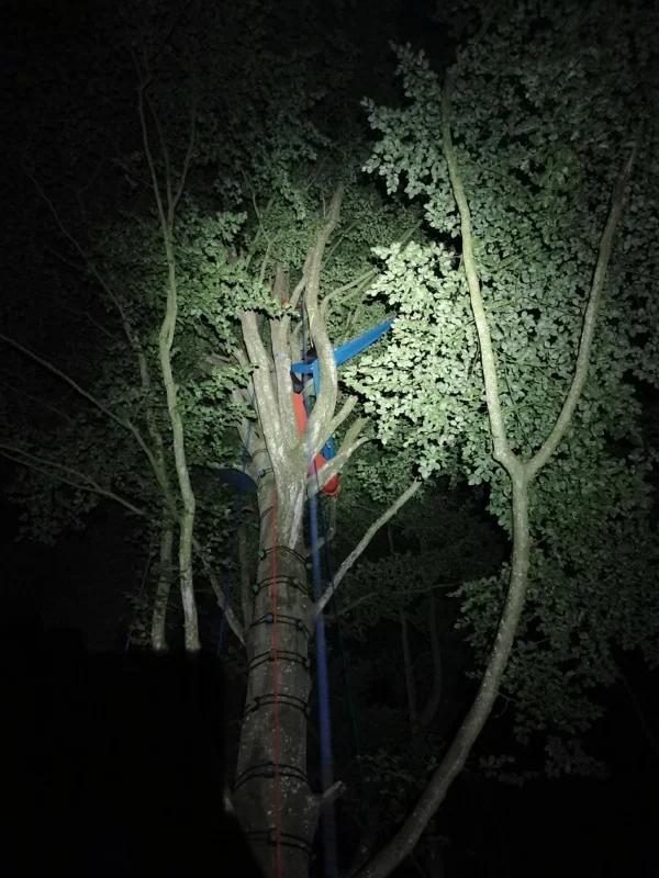 Nuit perchée - bivouac nocturne dans les arbres en hamac
