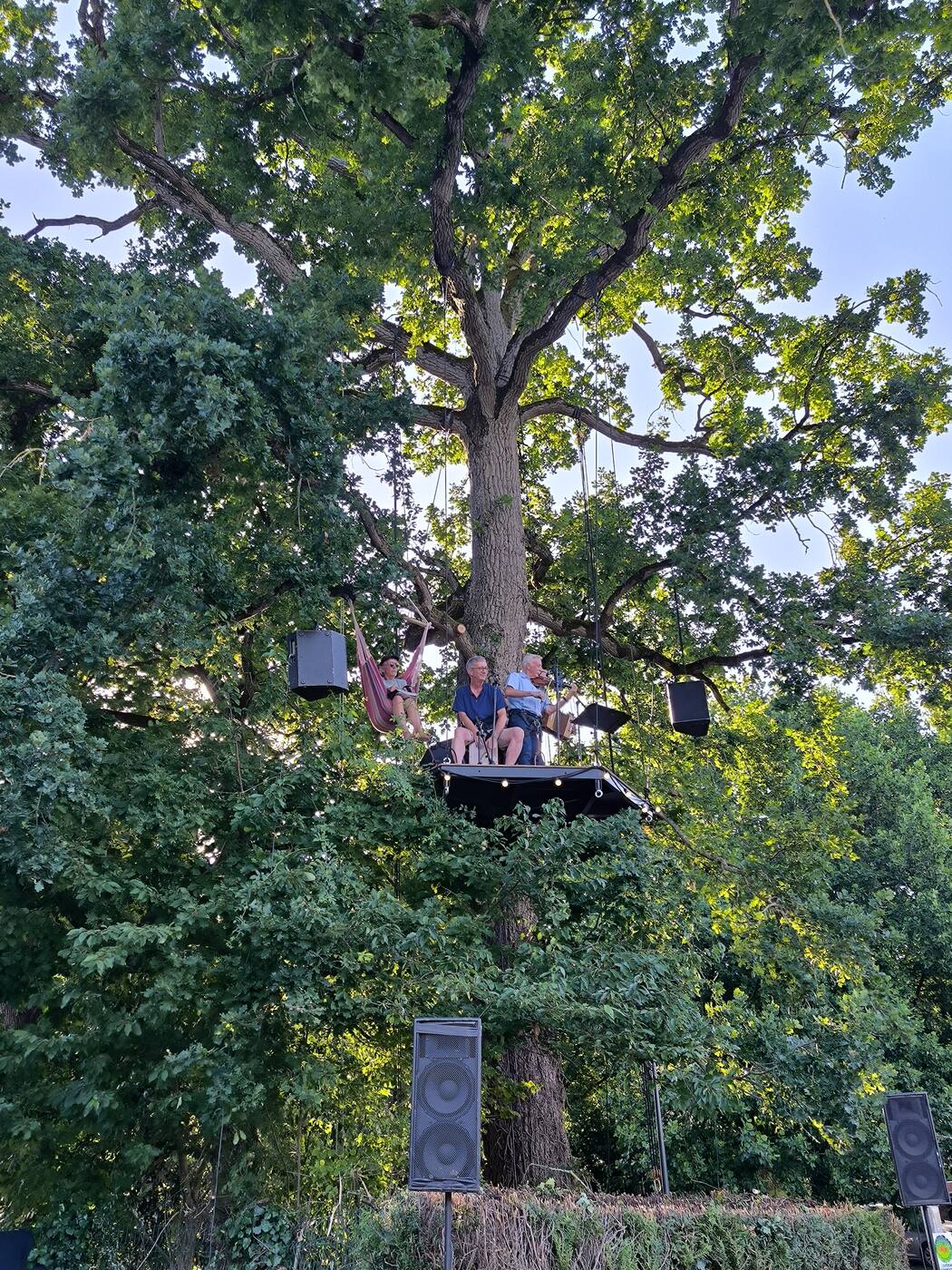 Vue d'ensemble de L'Arborium installé dans un chêne majestueux avec sonorisation - scène perchée pour festivals et événements culturels